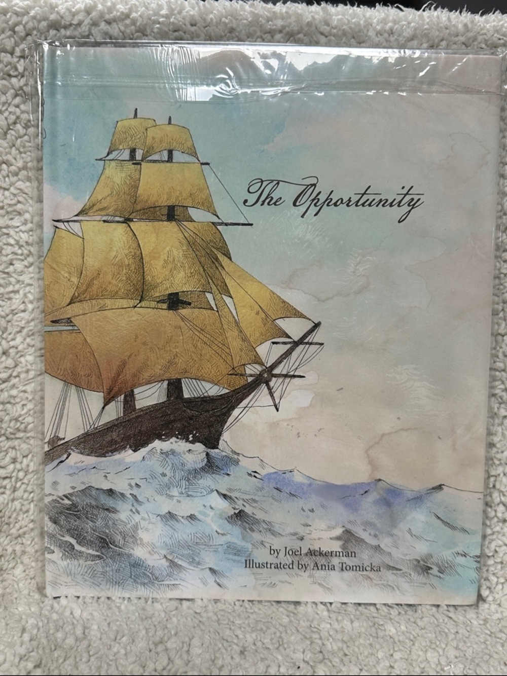 Hardcover The Opportunity Book by Joel Ackerman. New in original packaging.